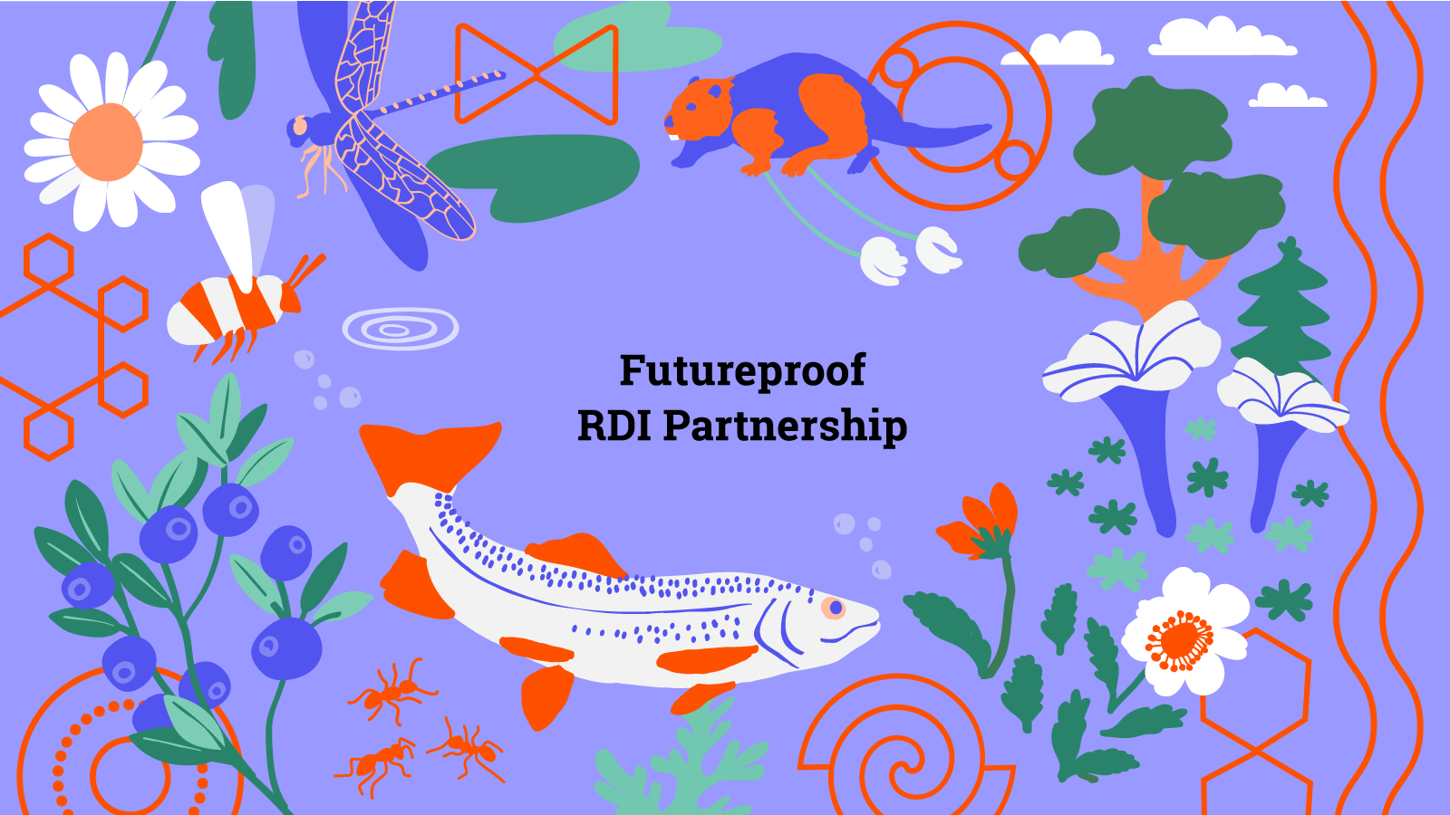 Futureproof RDI Partnership