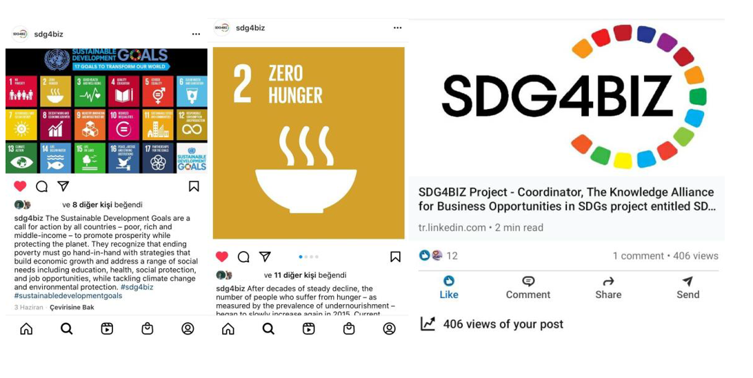 A screenshot SDG4BIZ Project's social media channels and posts published in Facebook, Instagram and Linkedin.