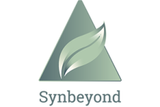 Synbeyond